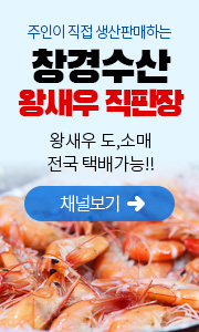 배너2